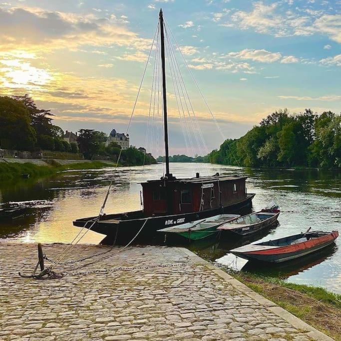 Le 20 La Loire Maison De Bord De Loire Chalonnes-sur-Loire المظهر الخارجي الصورة